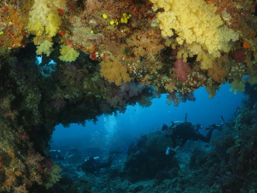 Taveuni Dive Resort Waiyevo Exterior foto