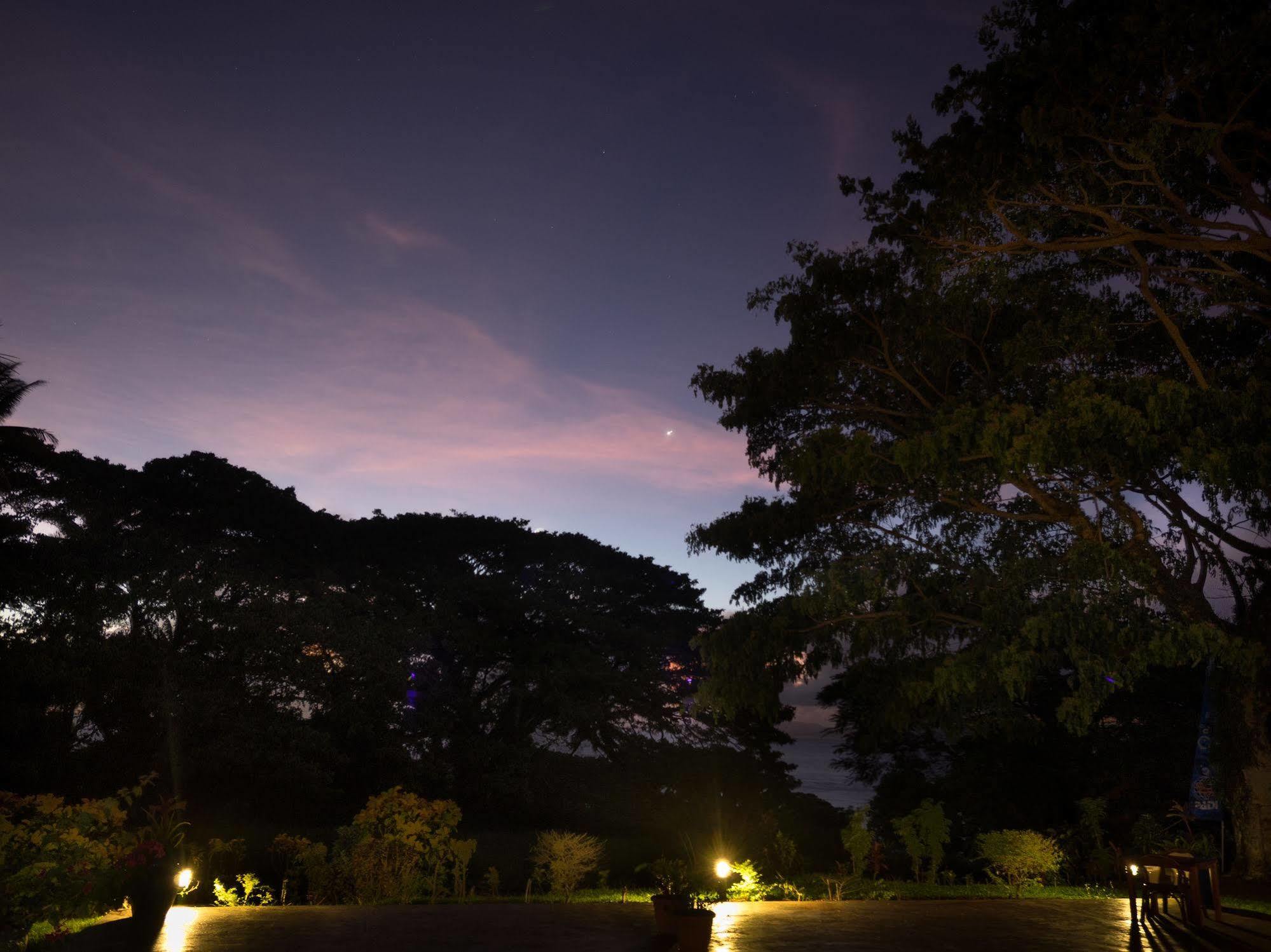 Taveuni Dive Resort Waiyevo Exterior foto